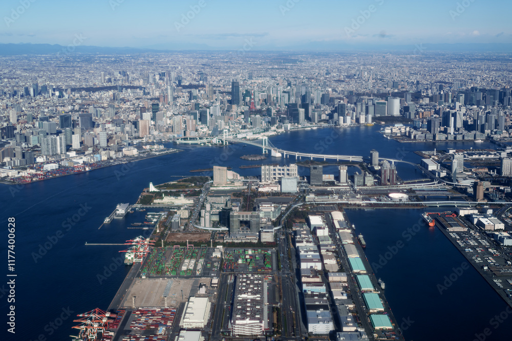 Fototapeta premium 東京 空撮