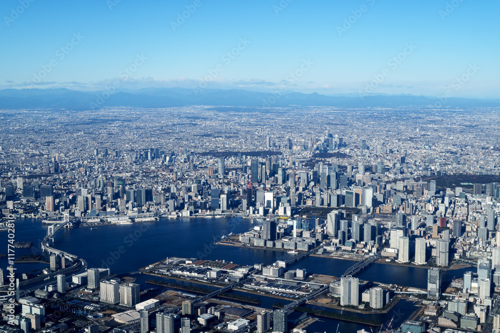Obraz premium 東京 空撮