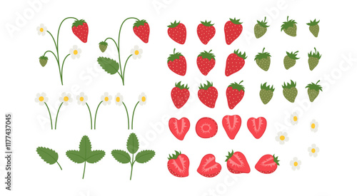 Wallpaper Mural Strawberry Vector Flat Isolated Set. Sliced and Whole Summer Berries Collection. Strawberry Leaves and Flowers. Torontodigital.ca