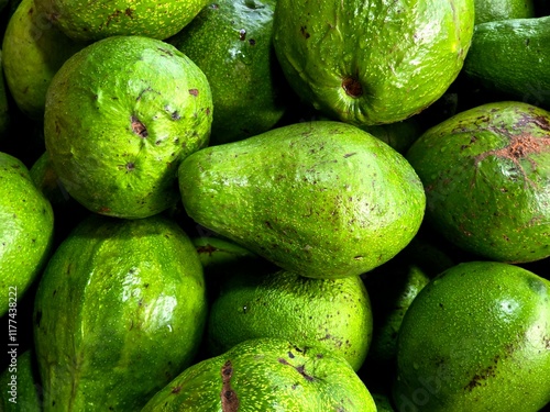 Close-up view of fresh green avocados with textured skin, ideal for illustrating organic produce or healthy eating themes.

 photo