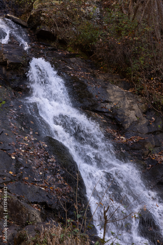 Amicalola Falls in north Georgia, USA Amicalola Falls in north Georgia, USA