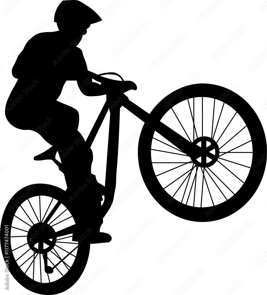 Fototapeta premium mountain bike silhouette