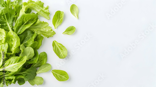 Wallpaper Mural Fresh green lettuce leaves arranged on white background, copy space, healthy food concept, recipe illustration. Torontodigital.ca