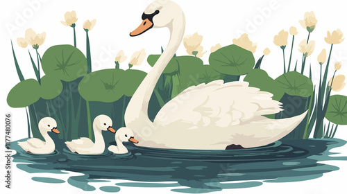 Fototapeta Naklejka Na Ścianę i Meble -  Graceful mother swan and baby cygnets swimming in serene pond
