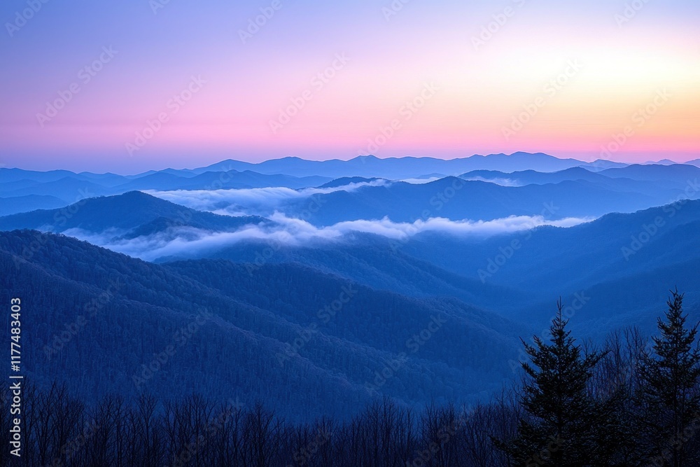 Blue Ridge Mountains sunrise with fog in valleys, colorful sky, trees in foreground Blue Ridge Mountains sunrise with fog in valleys, colorful sky, trees in foreground