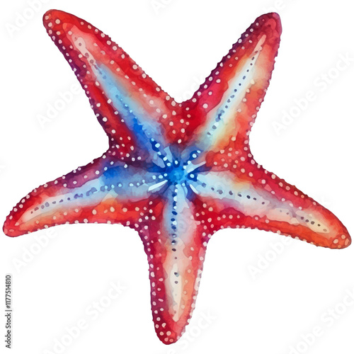 Red Starfish Illustration Isolated on White Background Highlighting Marine Elegance photo