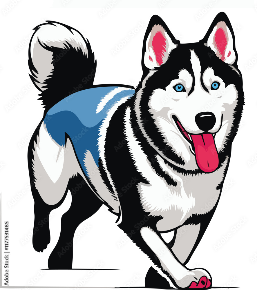 siberian husky dog vector illustration white background siberian husky dog vector illustration white background