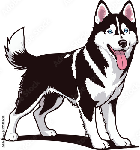 siberian husky dog vector illustration white background