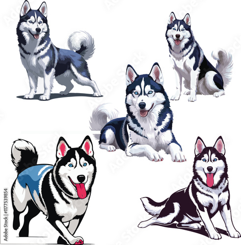 Set of siberian husky dog vector illustration white background