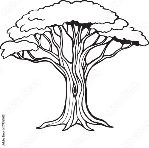 Detailed Line Drawing of a Mighty Oak Tree Illustration