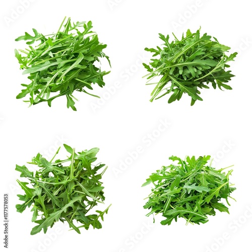 arugula isolated on white background, antioxidant mineral fiber vitamin