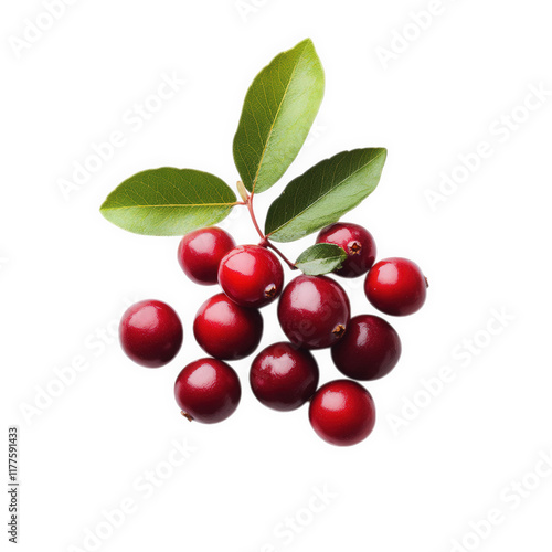 Wallpaper Mural cluster of vibrant red berries accompanied by green leaves. arranged aesthetically on a clean white background. showcasing their freshness and natural beauty this composition highlights the berries' c Torontodigital.ca