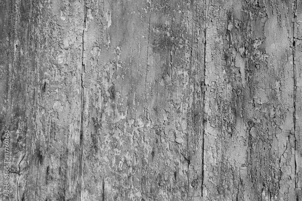 Obraz premium bianco e nero superfice con vernice