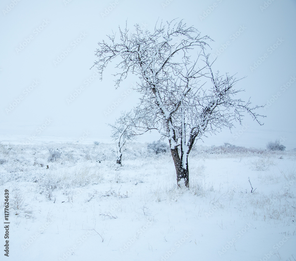 winter landscape with snow covered trees winter landscape with snow covered trees