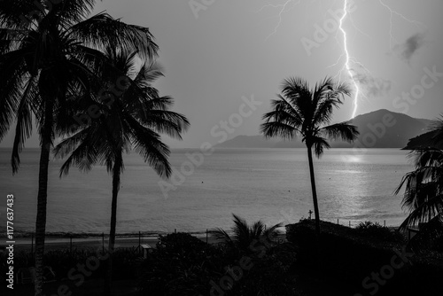 Black and White palm tree at night during thunderstorm storm rain at the beach
