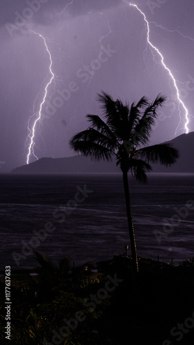 palm tree at night during thunderstorm storm rain at the beach
