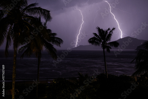 palm tree at night during thunderstorm storm rain at the beach