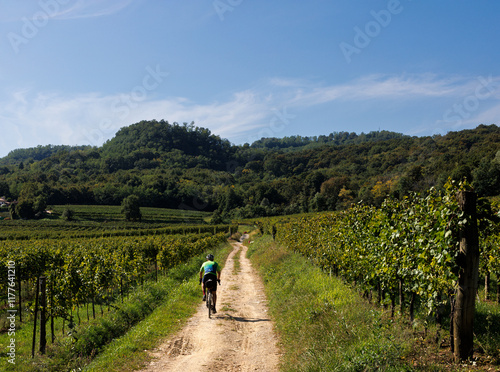 Bicycle Touring in Wine Country