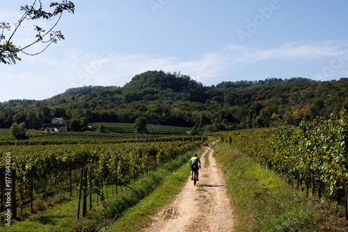 Bicycle Touring in Wine Country photo