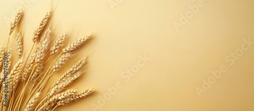 Golden wheat spikelets on a warm background with ample space for customizable text and messages for agricultural or culinary themes photo