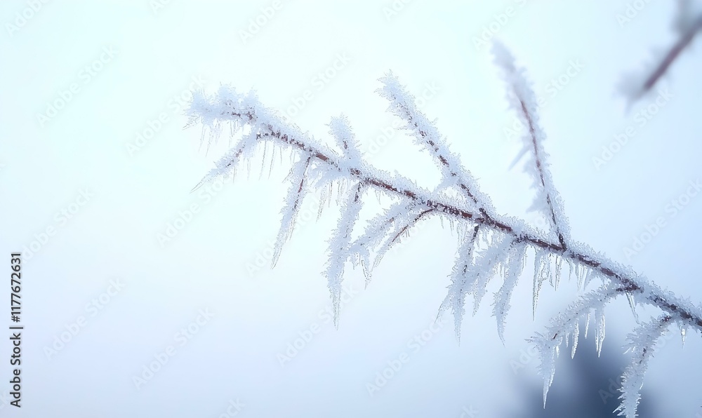 Obraz premium Frosted Window Art, intricate patterns of ice crystals forming delicate, lace-like designs on a chilly glass surface, showcasing nature's beauty.
