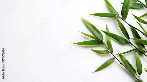 Fresh Bamboo Leaves Isolated on a Clean White Background Ideal for Natural and Eco-Friendly Design Concepts