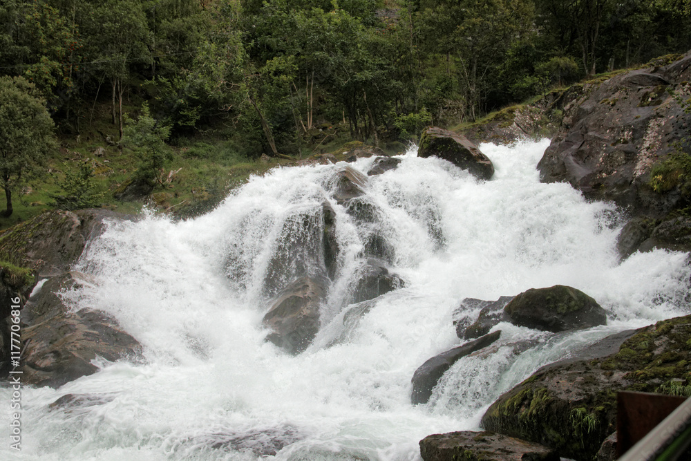 Fototapeta premium Vigorous water flows over rocks, embraced by lush greenery, creating a serene atmosphere.