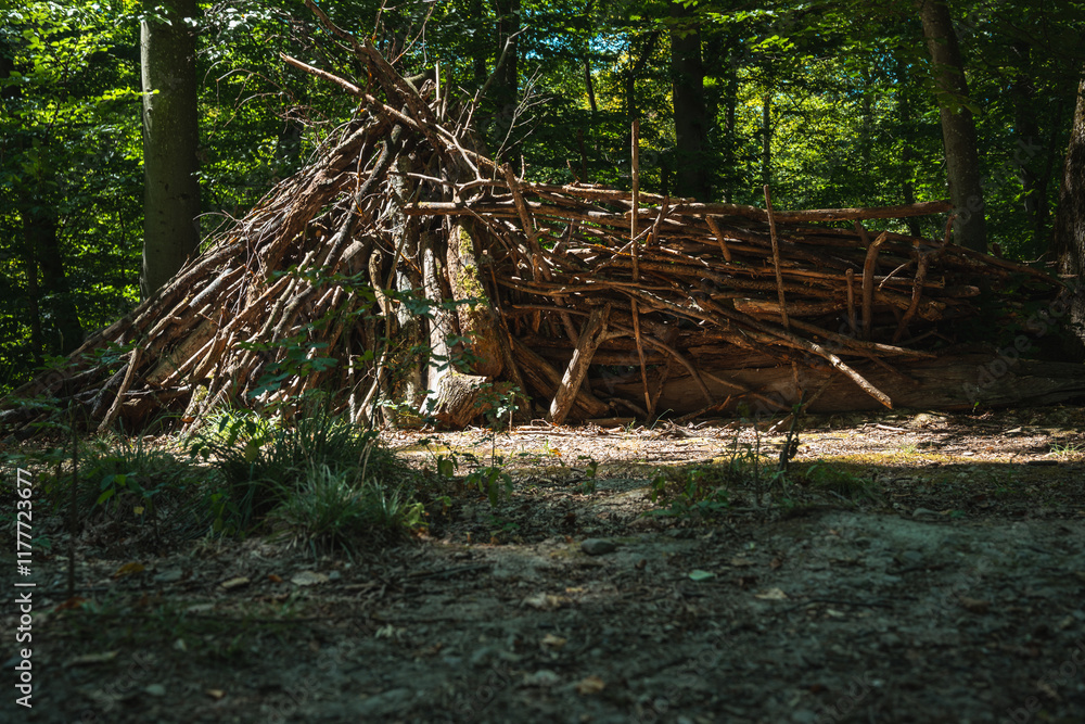 cabane en branchages dans le bois cabane en branchages dans le bois