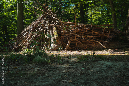 cabane en branchages dans le bois photo