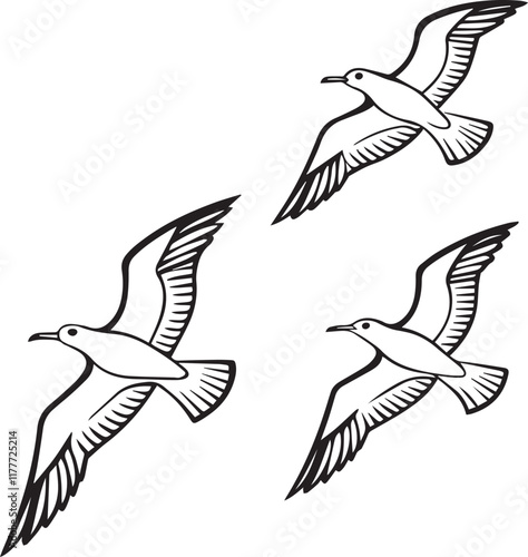 set of seagulls