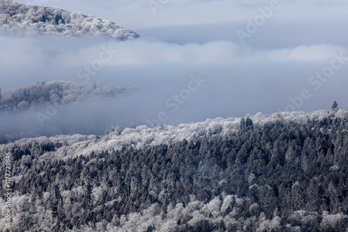 Brouillard sur la vallée du Lison - Doubs