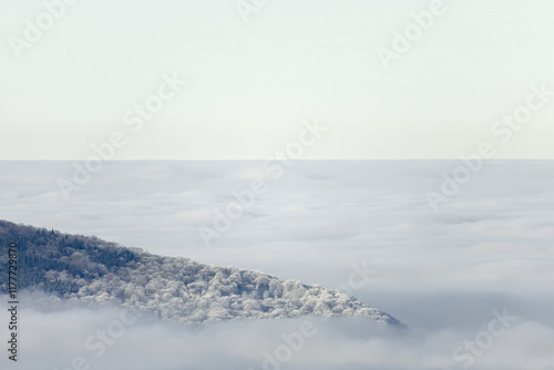 Brouillard sur la vallée du Lison - Doubs
