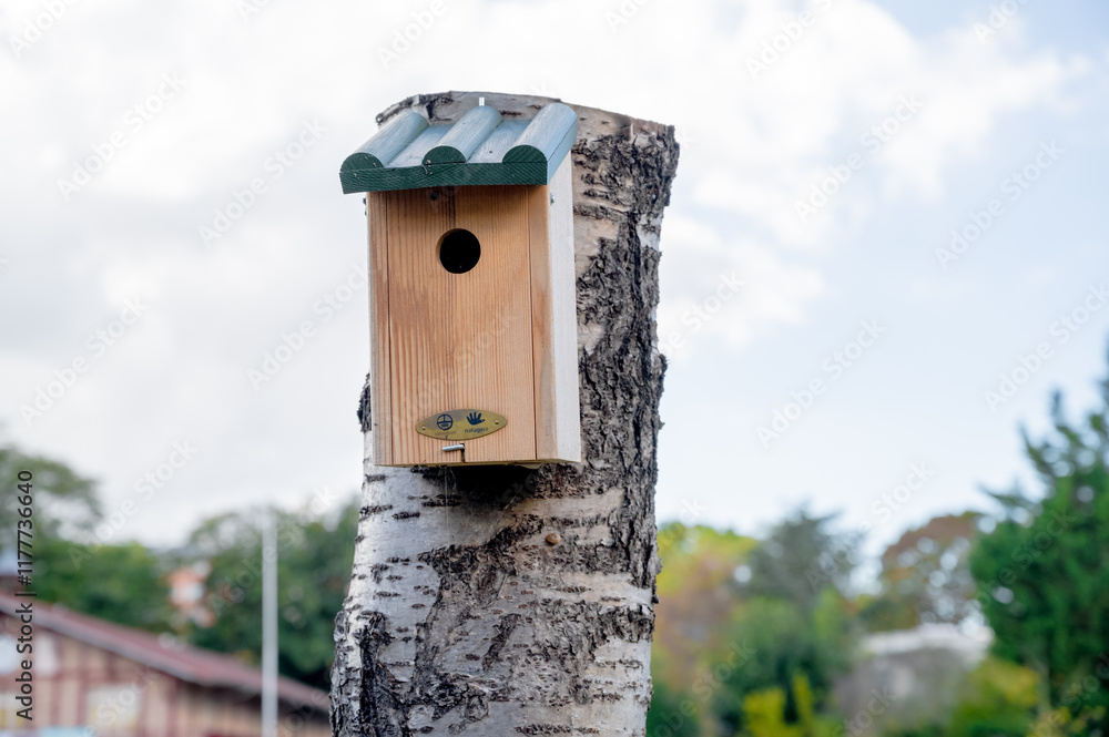 Birdhouse on a tree trunk. Concept of a private house and family. Birdhouse on a tree trunk. Concept of a private house and family.