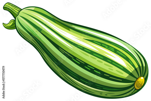 zucchini isolated on white