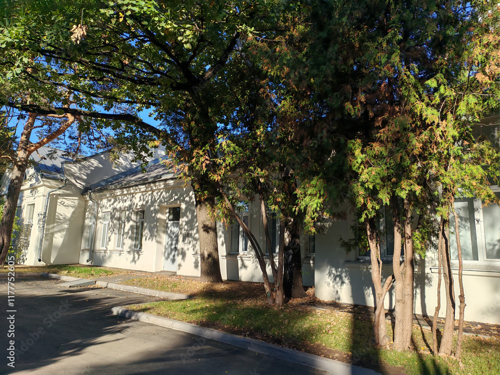 one-story building with a sloped metal roof surrounded by mature trees on a bright day. The calm scene evokes the harmony between man-made structures and nature, echoing environmental preservation one-story building with a sloped metal roof surrounded by mature trees on a bright day. The calm scene evokes the harmony between man-made structures and nature, echoing environmental preservation