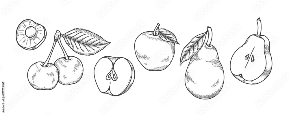 Fruits vector drawing set. Cherry, apple, pear. Engraved illustration. Hand drawn slice, whole and half fruits , leaves. Botanical sketch of fruits for label, juice packaging Fruits vector drawing set. Cherry, apple, pear. Engraved illustration. Hand drawn slice, whole and half fruits , leaves. Botanical sketch of fruits for label, juice packaging
