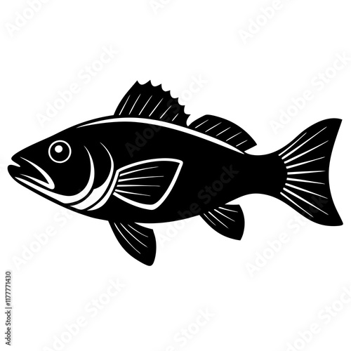 black and white sea bass fish
