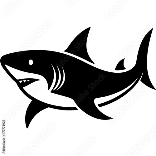 illustration of a shark