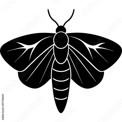 black and white moth