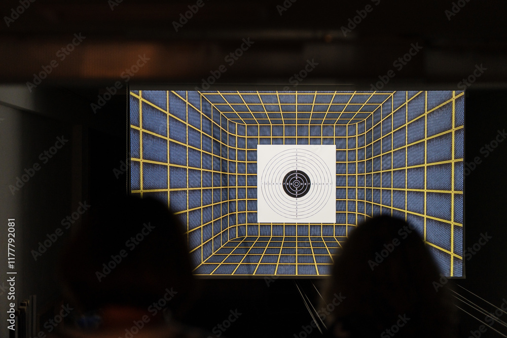 custom made wallpaper toronto digitalElectronic Pistol Shooting Range with Grid Background