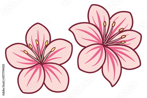 Beautiful Pink Flower Vector Illustration Image