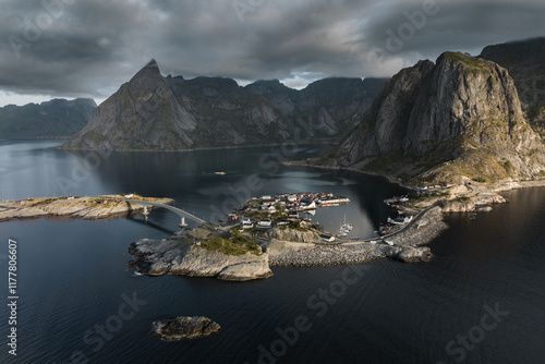 Golden Hamnoy  photo