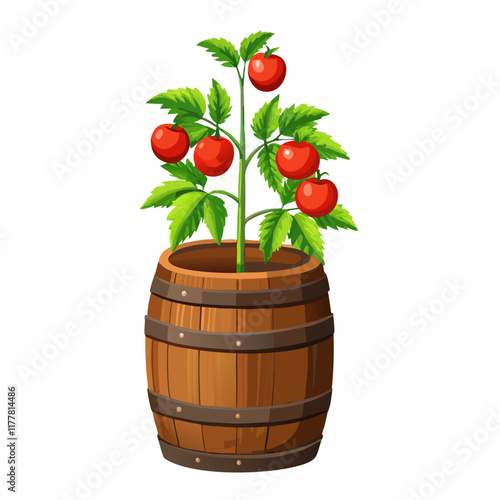 Tomatoes plant in wooden pot isolated vector illustration (3)