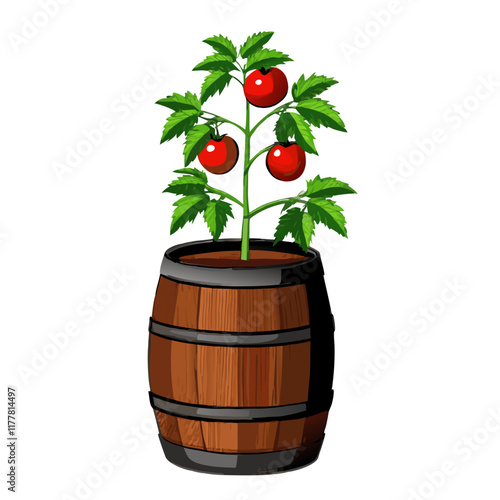 Tomatoes plant in wooden pot isolated vector illustration (4)