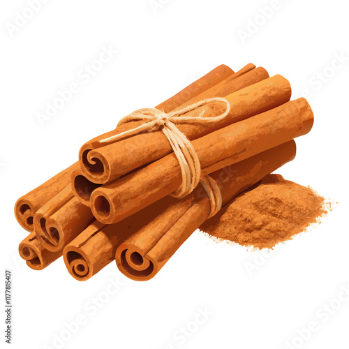 Cinnamon sticks isolated vector illustration (1)