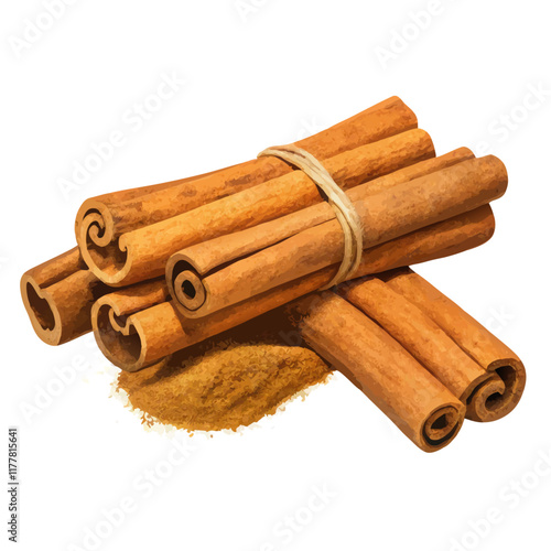 Cinnamon sticks isolated vector illustration (4)