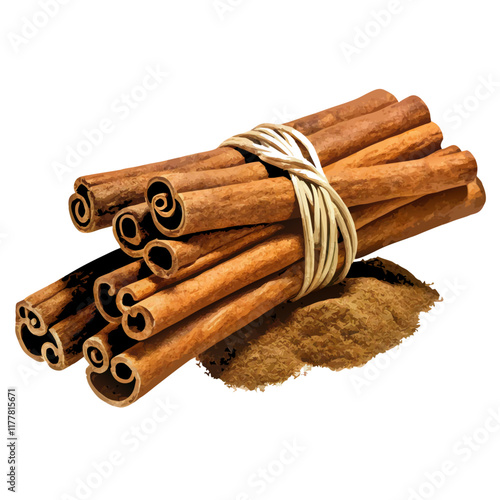 Cinnamon sticks isolated vector illustration (5)