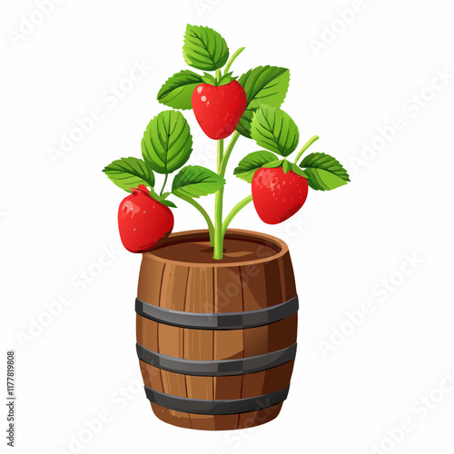 Strawberry plant in wooden pot isolated vector illustration (6)