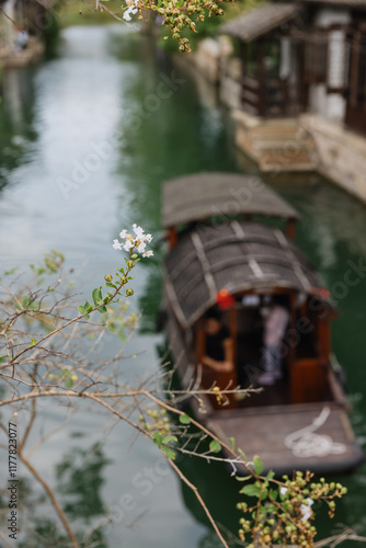 Flowering Branch Overlooking Canal and Boat photo