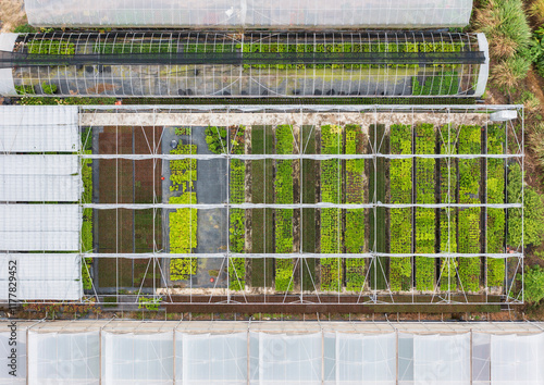 Modern Vertical Farming Greenhouse Interior Advanced Plant Culti photo